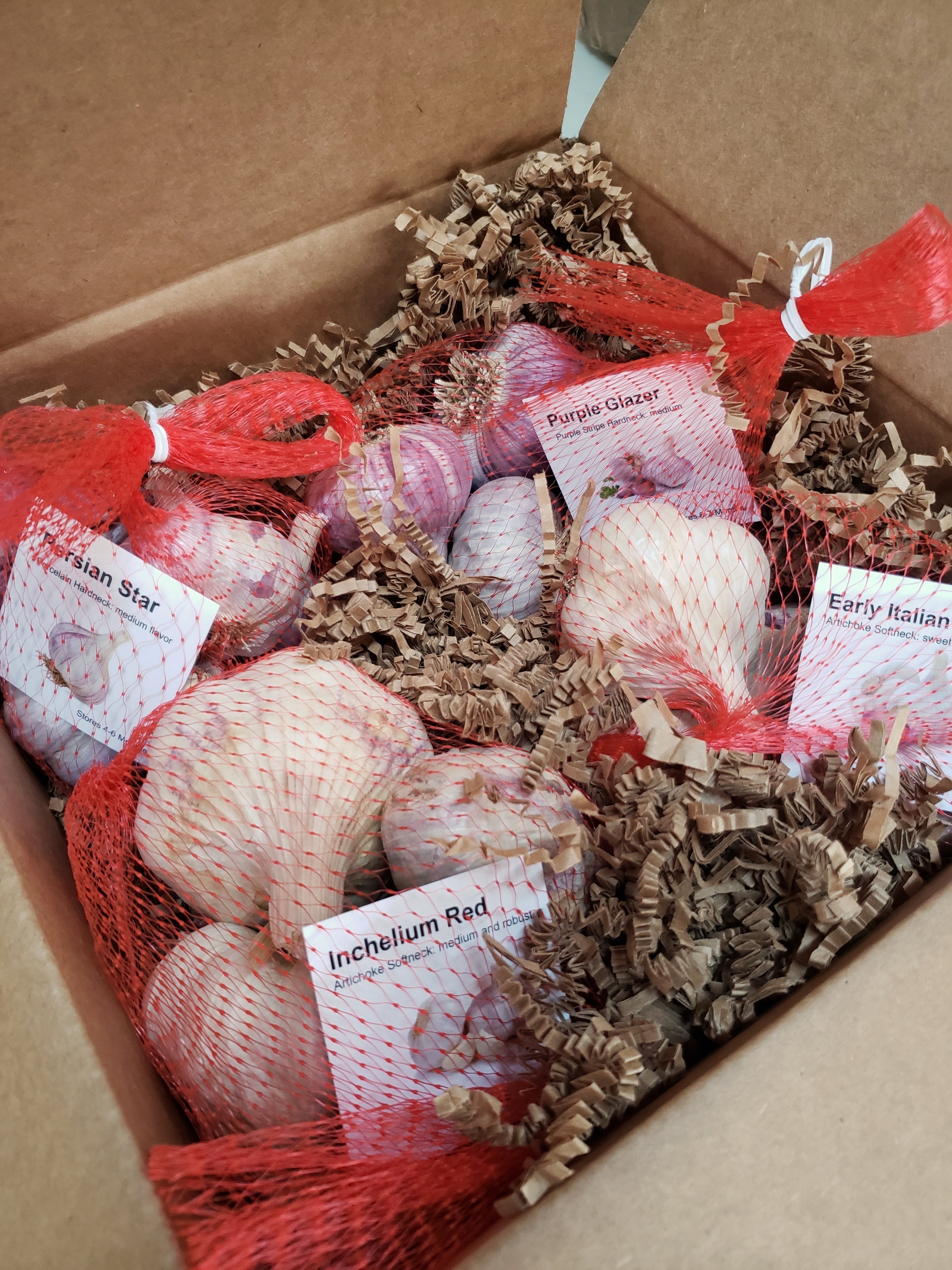 Garlic seed inside box 