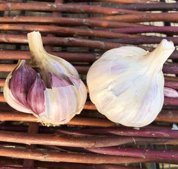 Creole Garlic sitting on basket