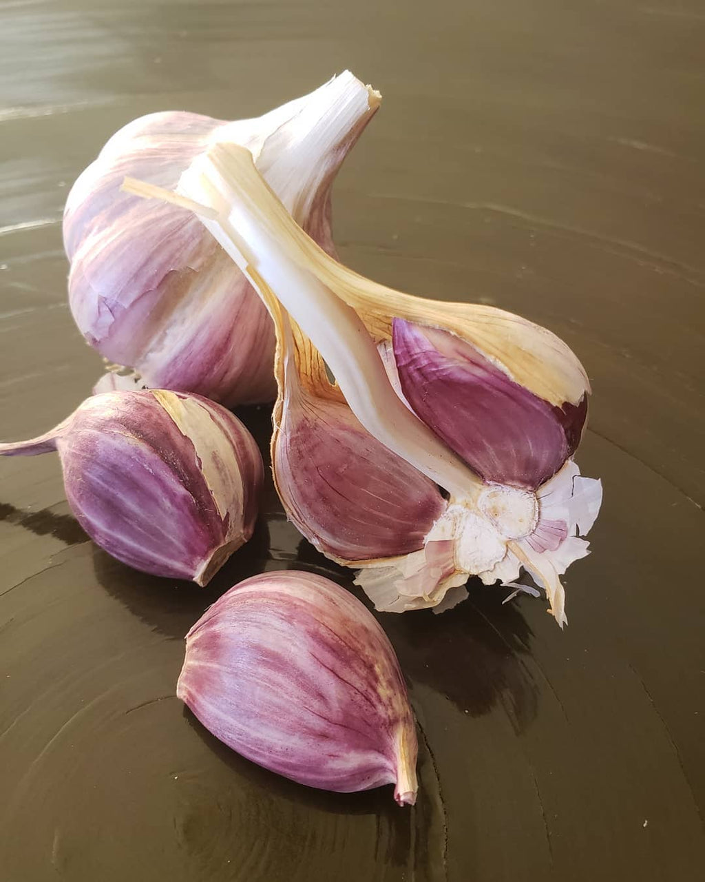 Close-up of Chesnok Red garlic showing large cloves