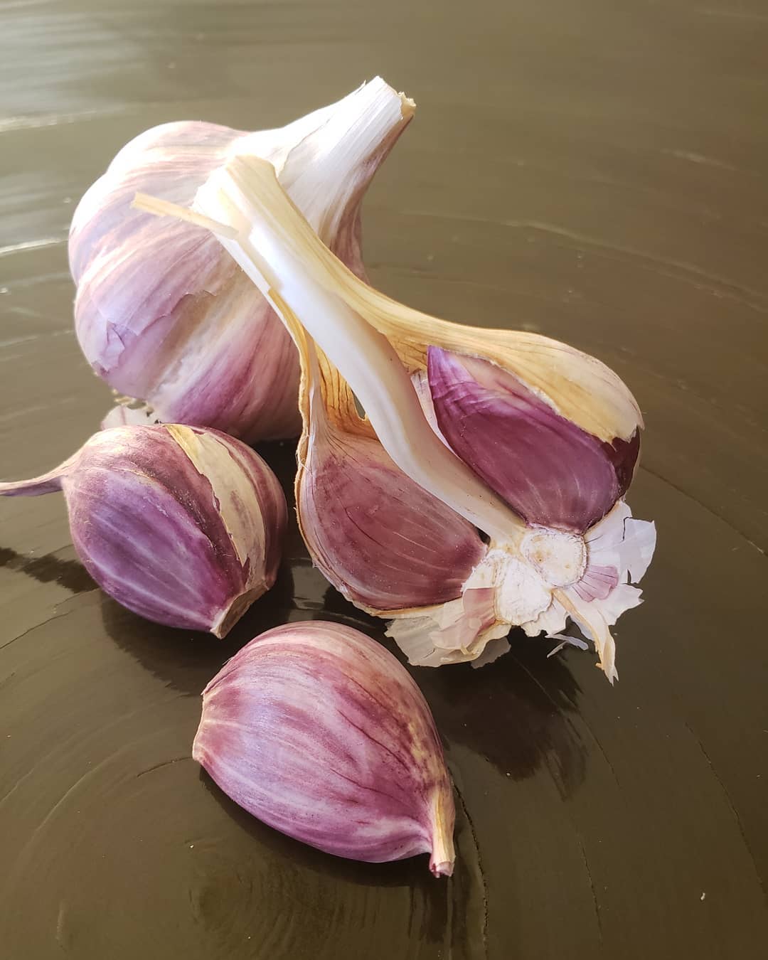 Close-up of Chesnok Red garlic showing large cloves