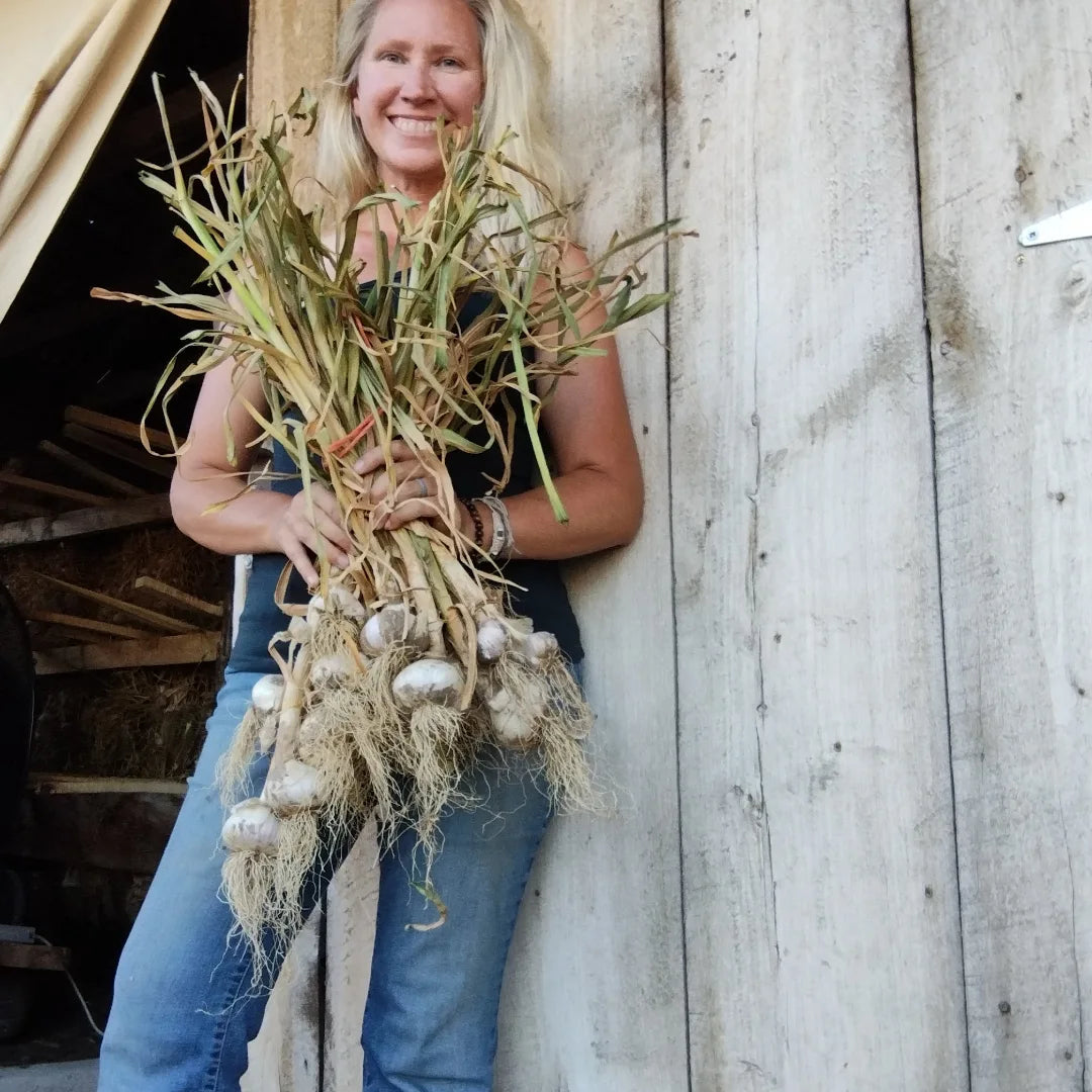 Garlic God holding garlic bunch in front of cure barn