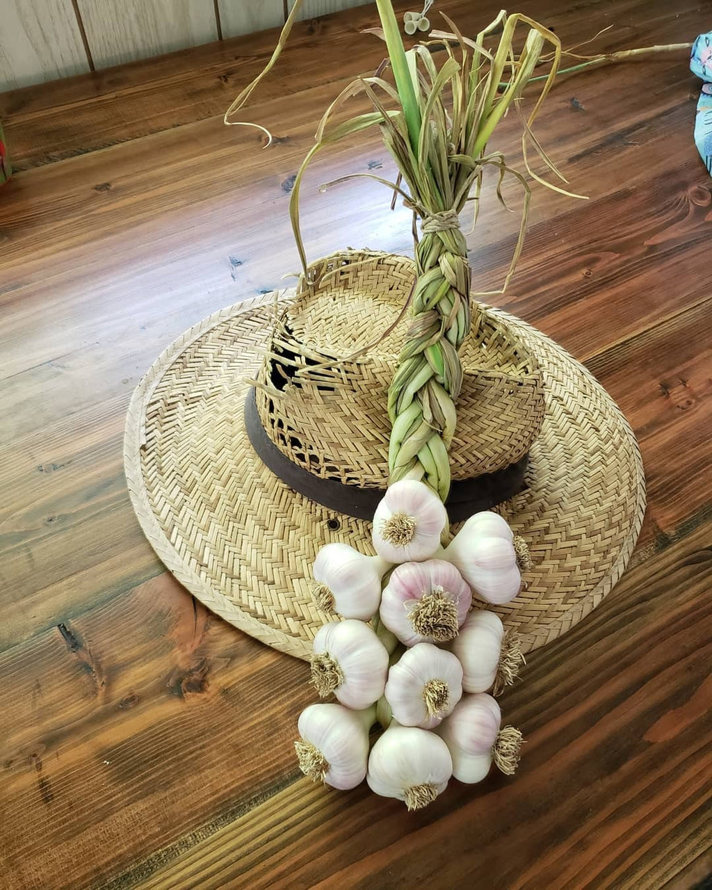 Inchelium Red garlic braid