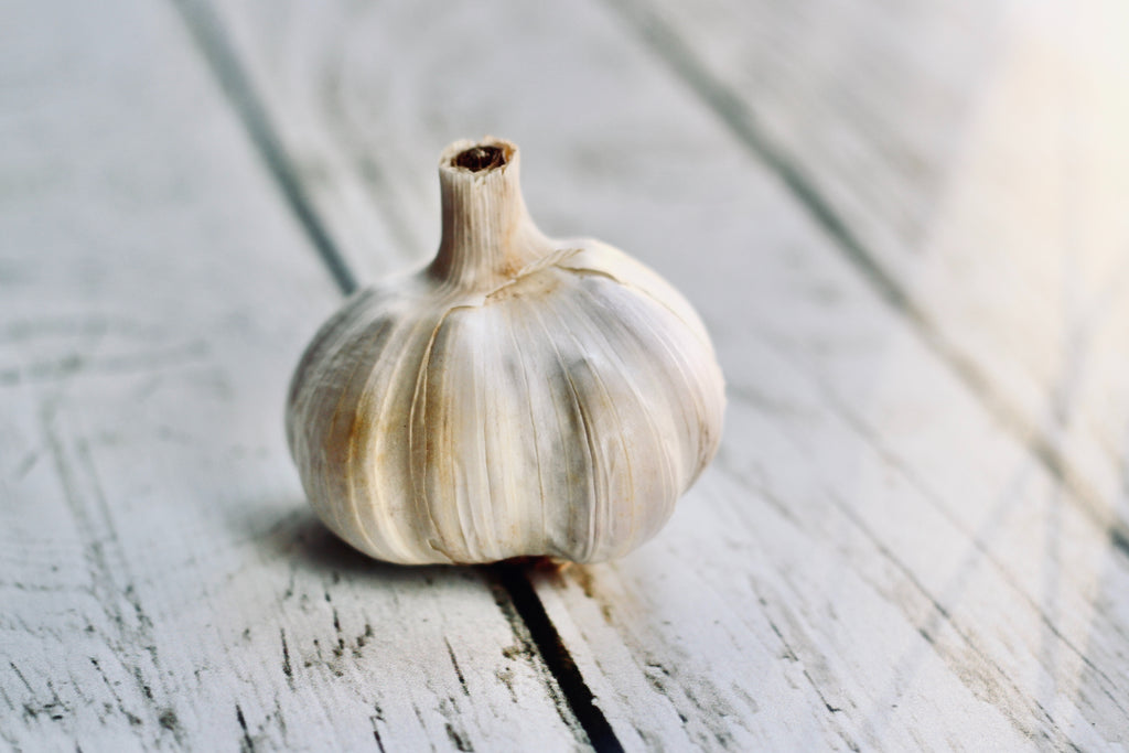Softneck artichoke garlic bulb