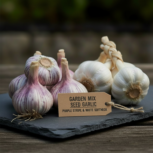 Garden Mix - With Roots